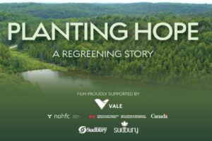 planting hope regreening story